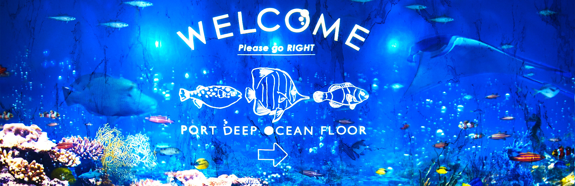 【最上階特別フロア】ポートディープオーシャンフロア